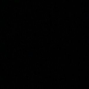 Meet your Posher, Daniela